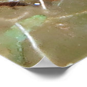 Cleaner Shrimp Poster (Hoek)