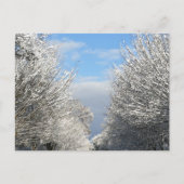 Clearing Skies & Tailwinds, NYC - Briefkaart (Voorkant)