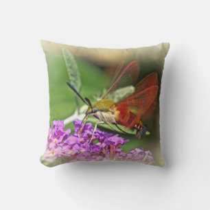 Clearings Hummingbird Hawk Moth Kussen