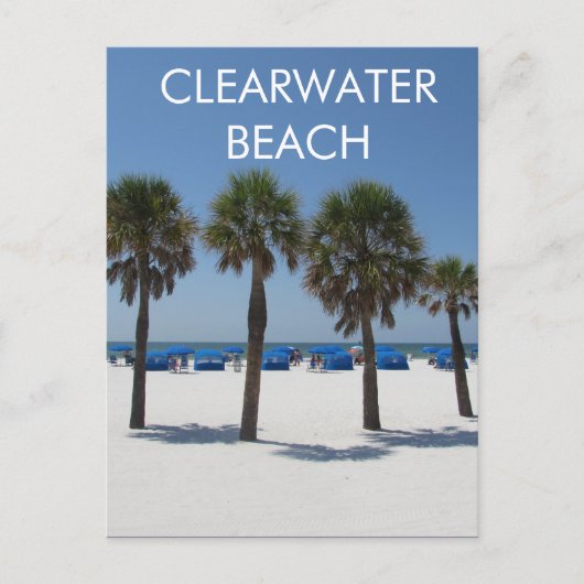 Clearwater Beach Florida Briefkaart (Voorkant)