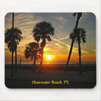 Clearwater Beach, Florida Muismat