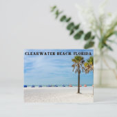 Clearwater Beach, Floride Carte postale (Debout devant)