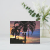 Clearwater, landschapsfoto van Florida Briefkaart (Staand voorkant)