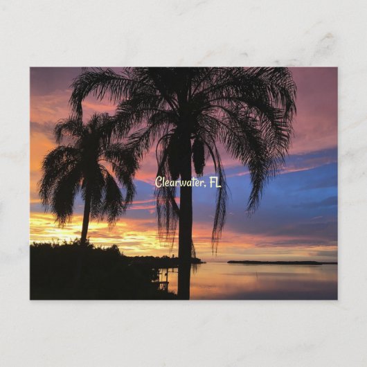 Clearwater, landschapsfoto van Florida Briefkaart (Voorkant)