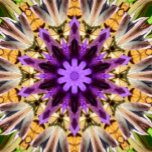 CLEMATIS<br><div class="desc">Un design abstrait beau et vibrant d'une fleur de clematis violet.</div>