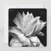 Clematis 1b begrafenismonument kaart (Voorkant)