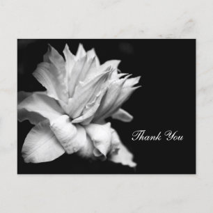 Clematis 1c Carte postale Merci Sympathie commémor