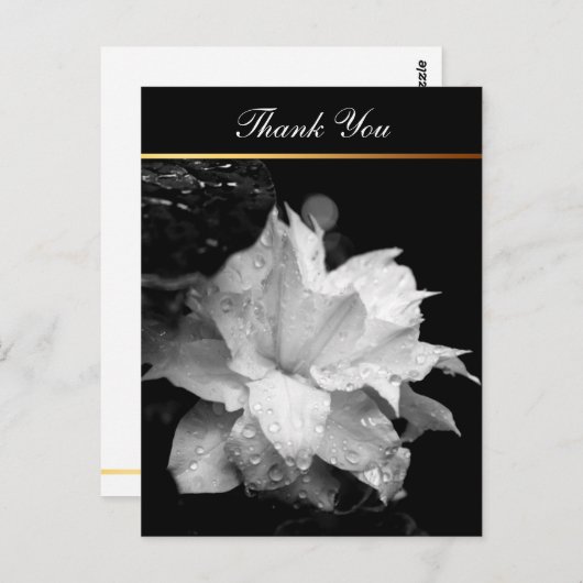 Clematis 2c Bloemen BW Foto Sympathie Dank u Briefkaart (Voorkant / Achterkant)