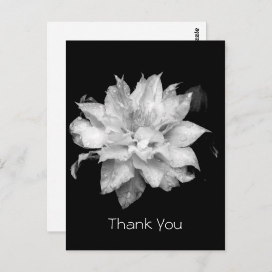 Clematis 3a Memorial Sympathy Dank u Briefkaart (Voorkant / Achterkant)