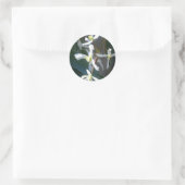 Clematis Armandii Blossom Sticker (Tas)