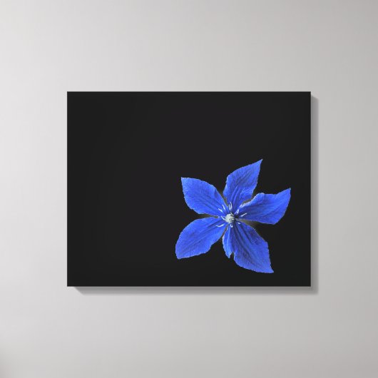 Clematis Bleu sur toile noire enveloppée (Recto)
