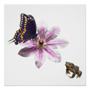 Clematis bloem en zwarte zwaluwstaart vlinder perfect poster