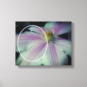 Clematis Bloemblaadjes Creëer Uw Eigen Foto Canvas Afdruk
