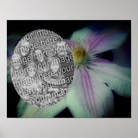 Clematis bloemblaadjes Lijst Creëer Uw eigen foto