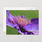 Clematis Briefkaart (Voorkant / Achterkant)