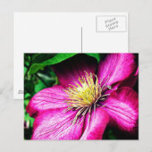 Clematis Briefkaart (Voorkant / Achterkant)