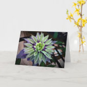 Clematis, carte (Fleur jaune)