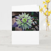 Clematis, carte (Fleur jaune)