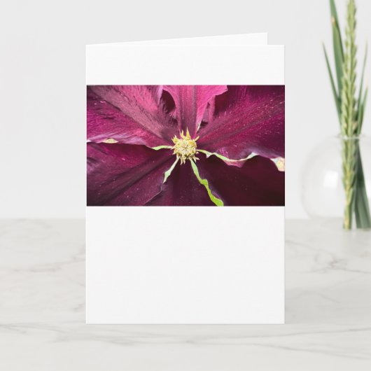 Clematis, carte (Devant)