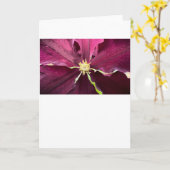 Clematis, carte (Fleur jaune)