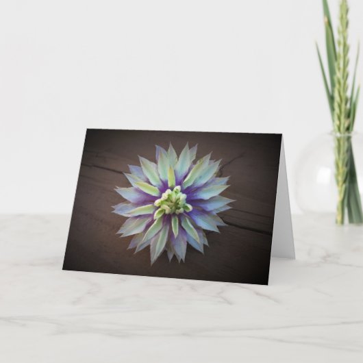 Clematis, carte (Devant)
