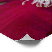 Clematis Closeup Poster (Hoek)