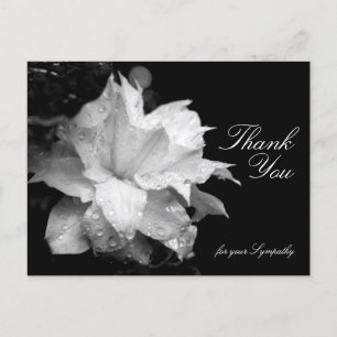Clematis en dauwdruppels Sympathie Dank U P Briefkaart