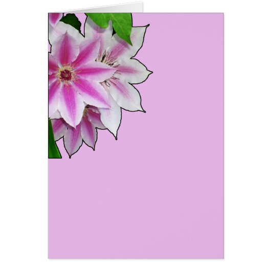 Clematis Fleur Design Sur Lavender (Devant)