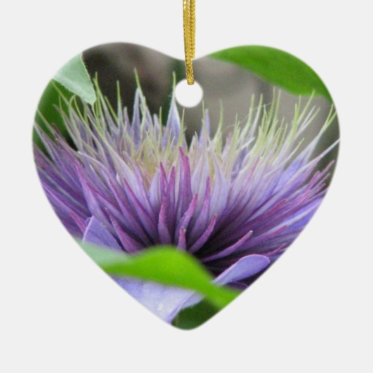 Clematis Flower Blossom Ornament (Voorkant)