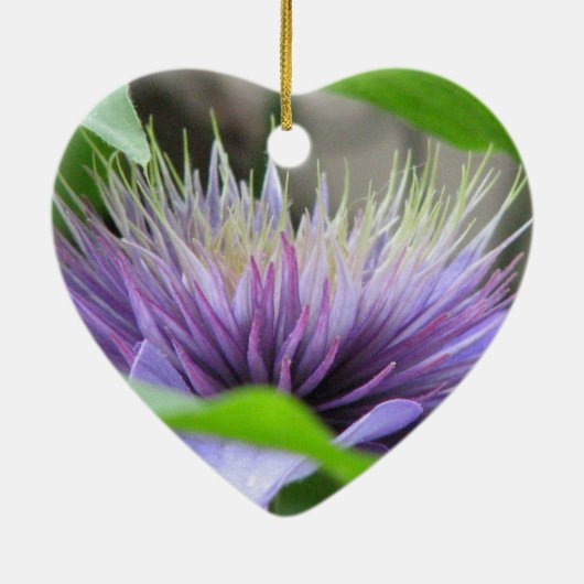 Clematis Flower Blossom Ornament (Achterkant)