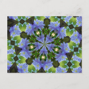 Clematis Flower Kaleidoscope Briefkaart