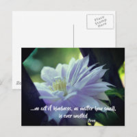 Clematis Flower Kindness Inspirerend Quote