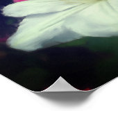 Clematis Flower Peace Quote Inspirerend Poster (Hoek)