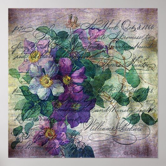 Clematis Flowering Vine Handwriting Grunge Poster (Voorkant)