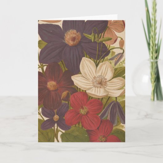 Clematis | George Nicholson Kaart (Voorkant)