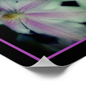 Clematis gloeit Abstract dicht Poster (Hoek)