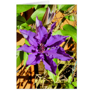 CLEMATIS GREETING CARTE