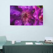 Clematis Het President Spandoek (Beurs)