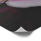 Clematis in roze bloem dicht poster (Hoek)