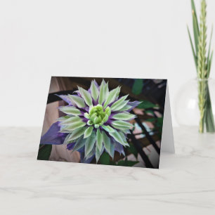 Clematis, kaart