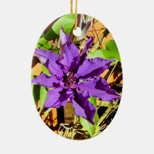 CLEMATIS KERAMISCH ORNAMENT (Achterkant)