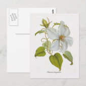 Clematis lanuginosa briefkaart (Voorkant / Achterkant)