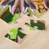 CLEMATIS LEGPUZZEL (Zijkant)