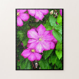 Clematis Legpuzzel