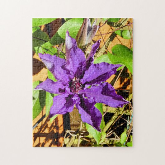 CLEMATIS LEGPUZZEL (Verticaal)