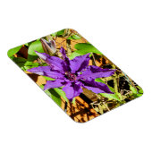 CLEMATIS MAGNEET (Rechterzijde)