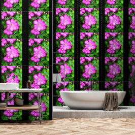 Clematis met Romeinen 5:3-5 Behang