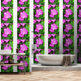Clematis met Romeinen 5:3-5 Behang