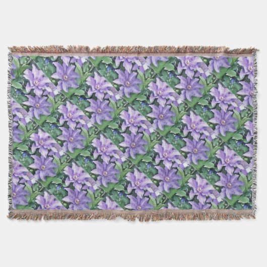 Clematis Paars Deken (Voorkant)