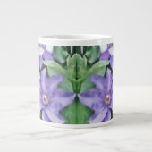 Clematis Paars Extra Grote Beker (Voorkant)